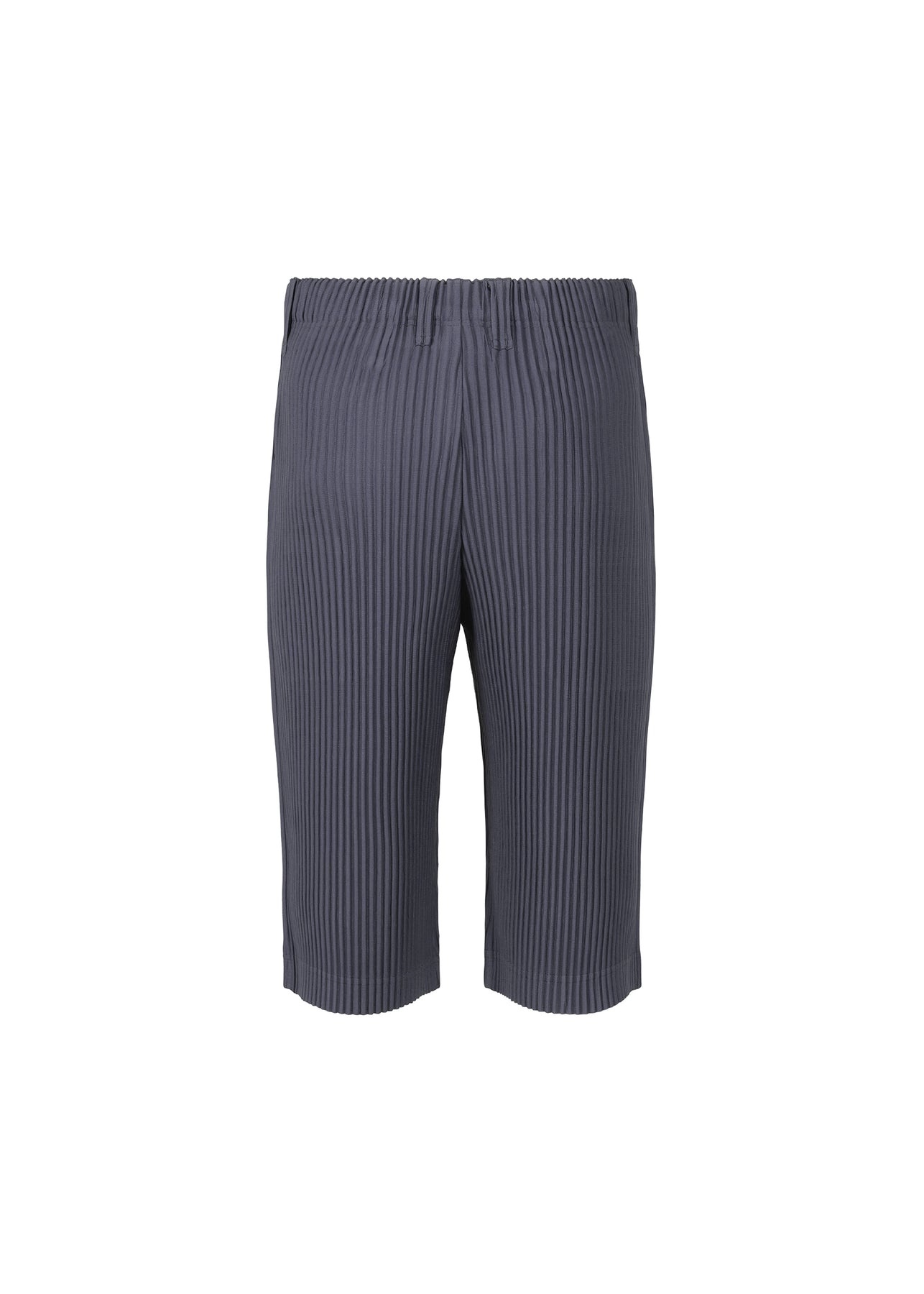 TAILORED PLEATS 2 PANTS - 2