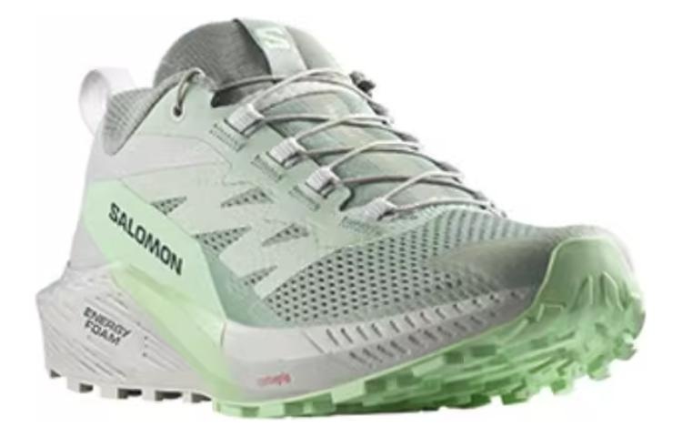(WMNS) SALOMON Sense Ride 5 'Lily Pad Metal' 473141 / L47314100 - 3