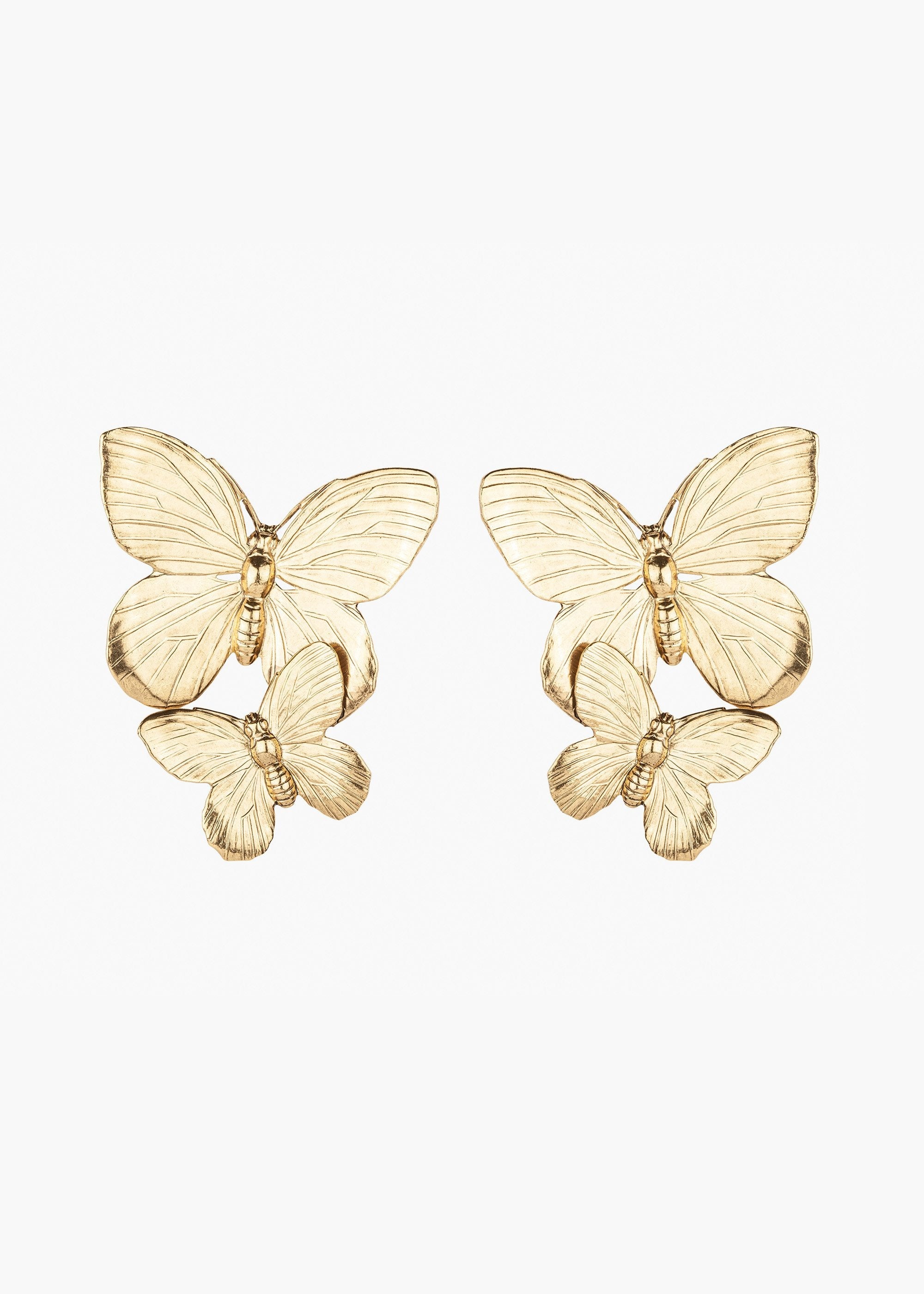 Papillon Earrings - 1