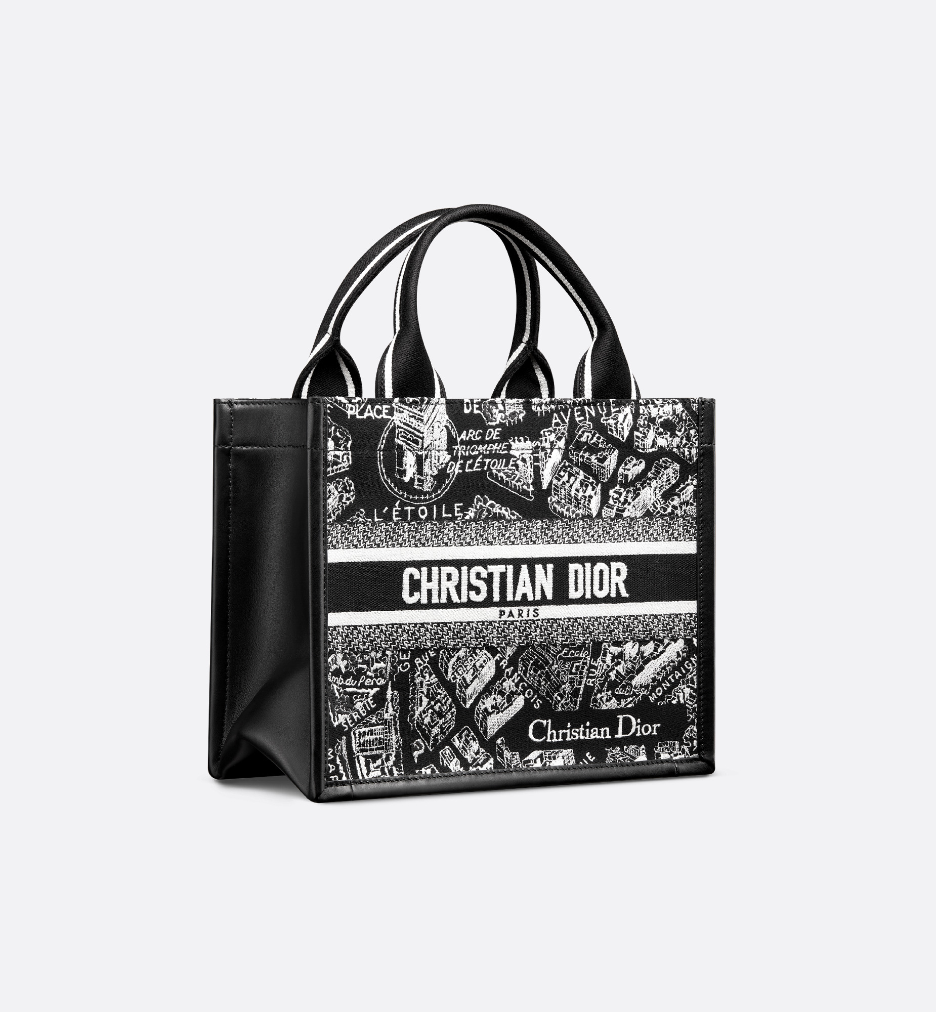 Small Dior Book Tote - 3
