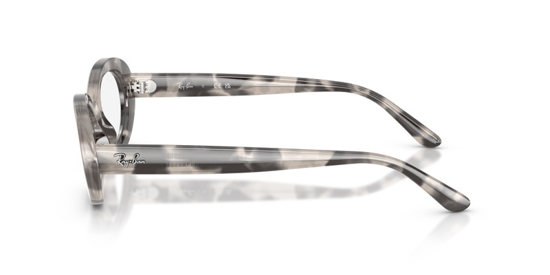 RB2223V OPTICS 5