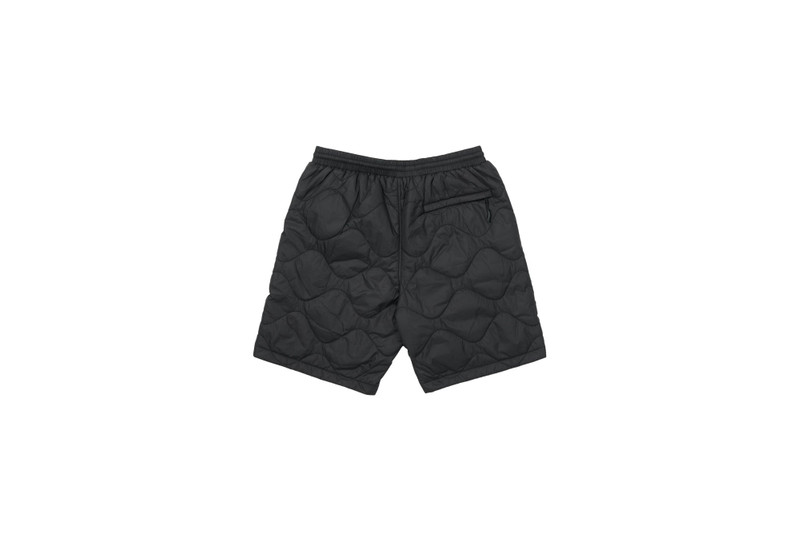 PALACE PERTEX QUILTER SHORTS BLACK outlook