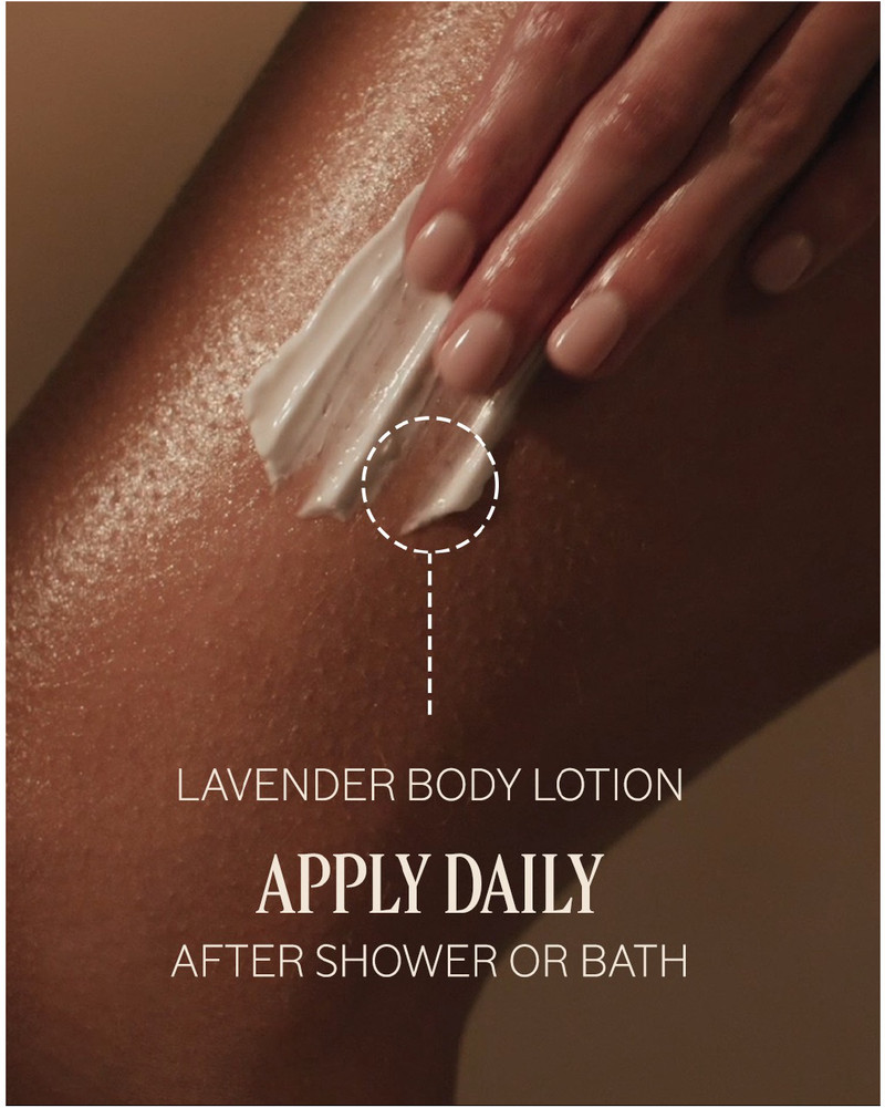 Lavender Collection 9