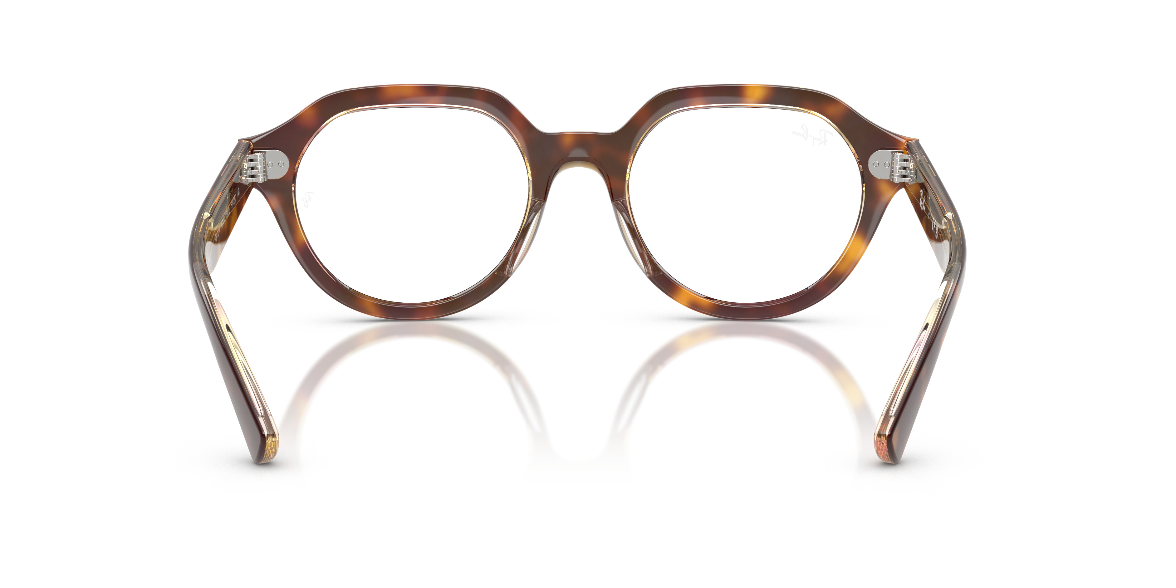 GINA OPTICS - 6