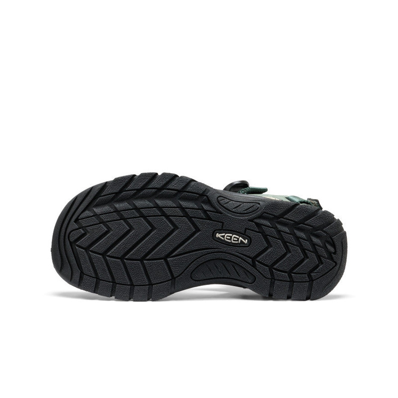 Women's Zerraport II Sandal 6