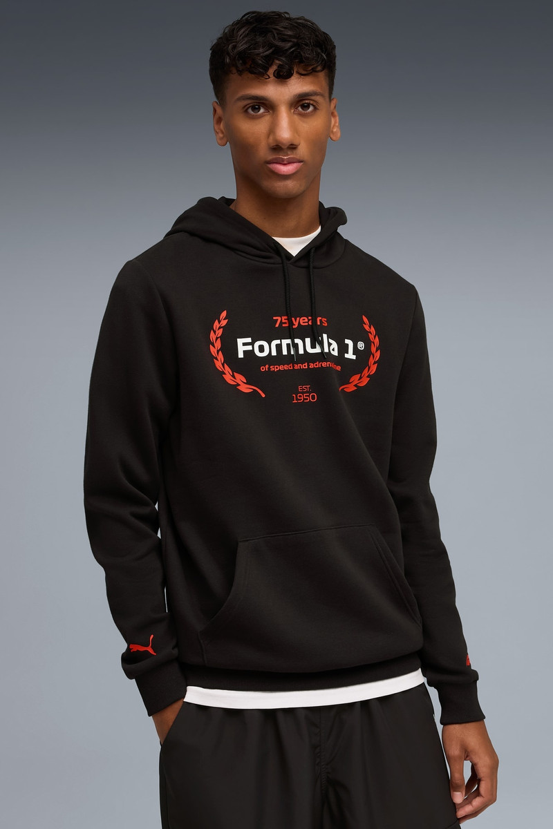PUMA F1® Essentials Logo Graphic Hoodie Men outlook