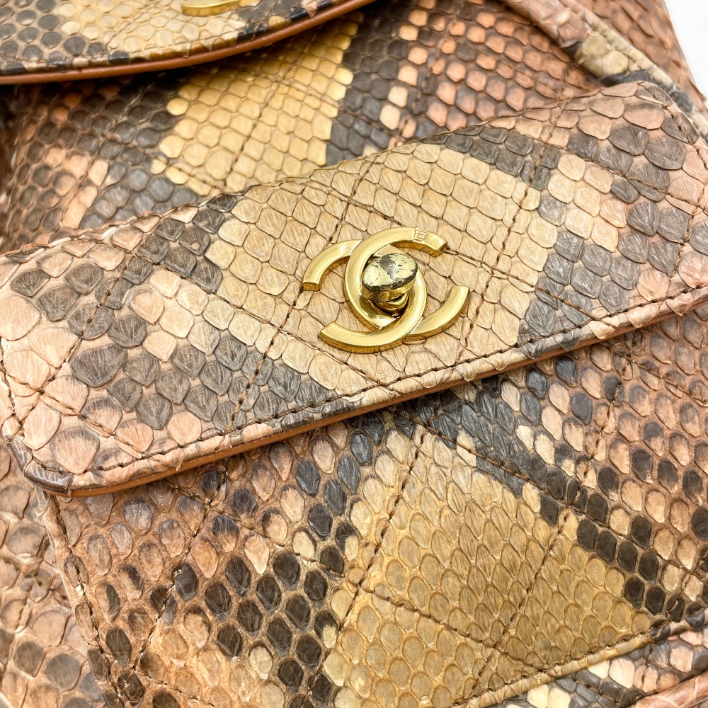 Chanel Snake Skin Duma Backpack - 10