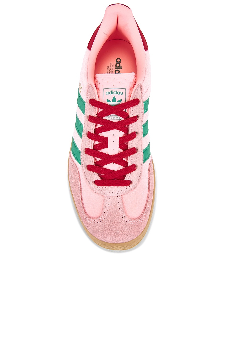 Gazelle Indoor - 4