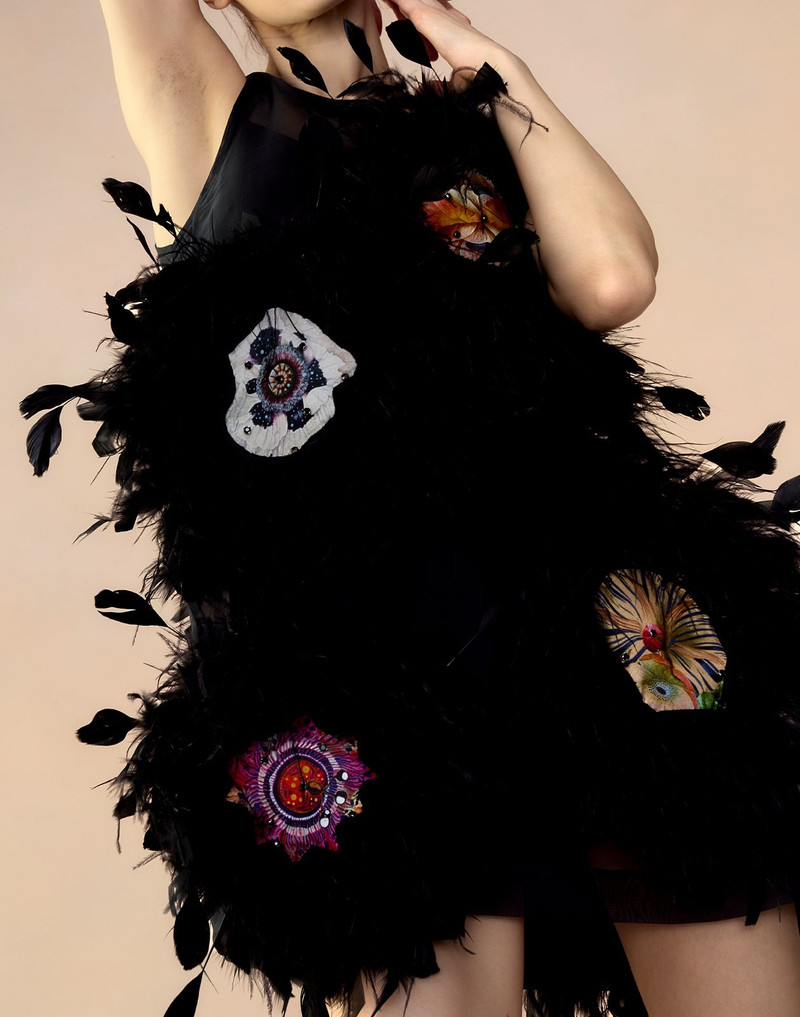 Tickle Your Fancy Dress 4