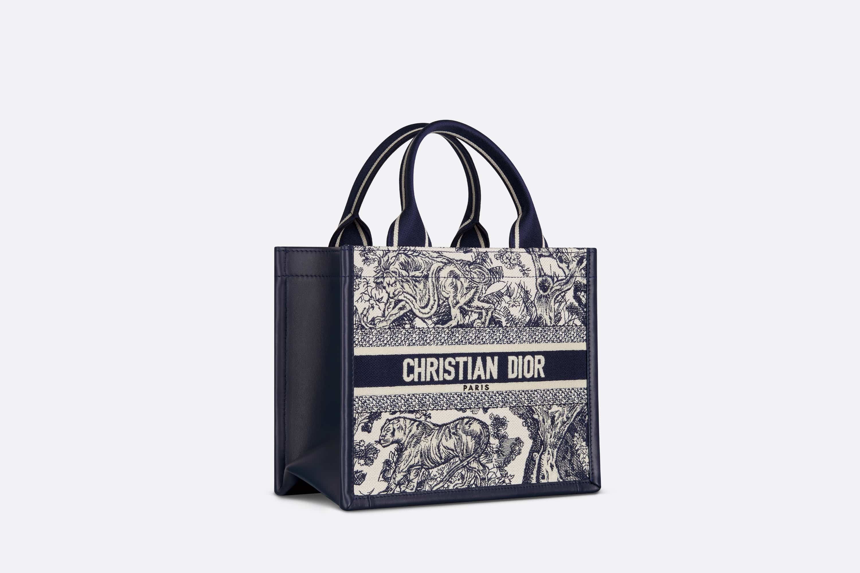 Small Dior Book Tote - 3