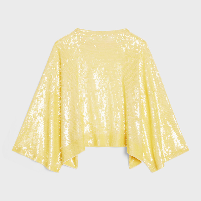 CELINE embroidered crop top in silk outlook