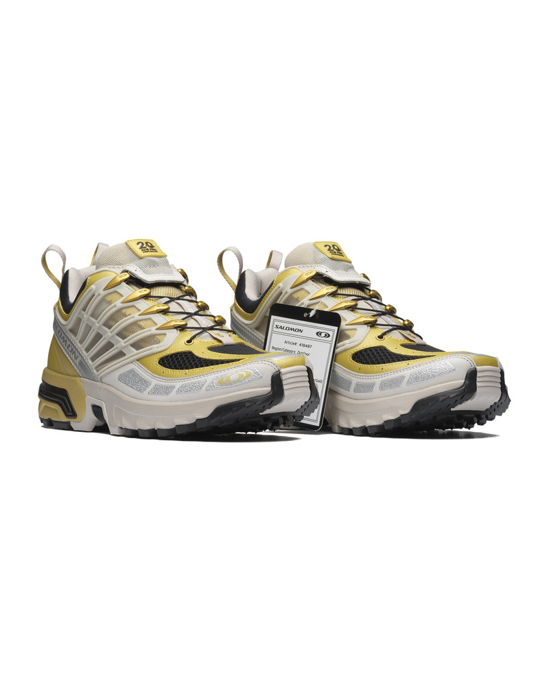 ACS PRO 20 Years Anniversary Golden Archive 6
