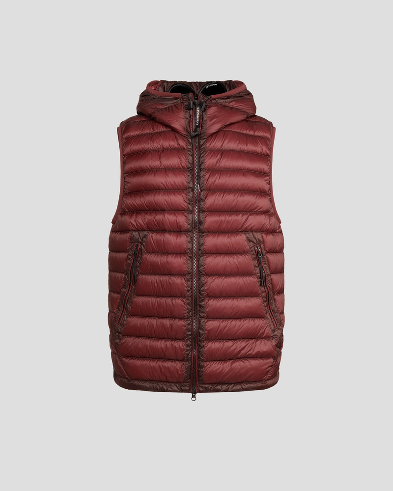 D.D. Shell Goggle Down Vest 1