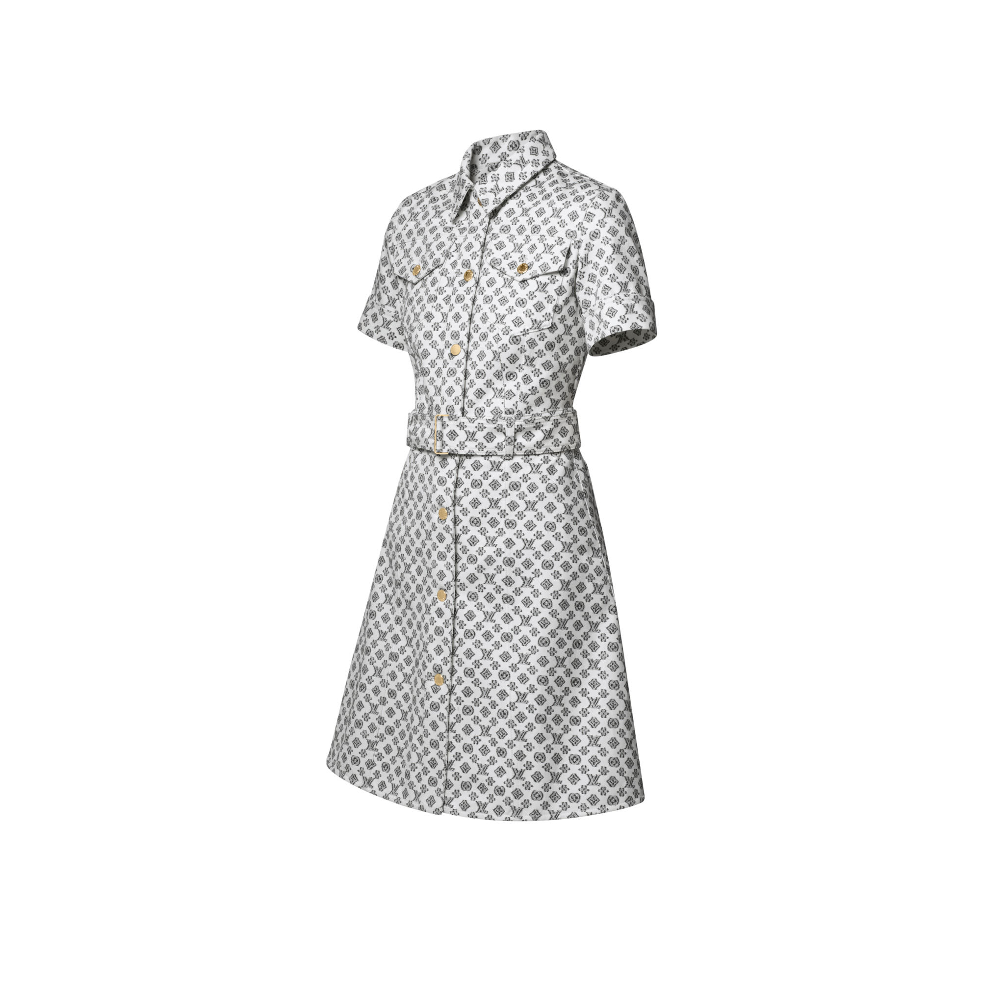Blurry Monogram Shirt Dress - 2