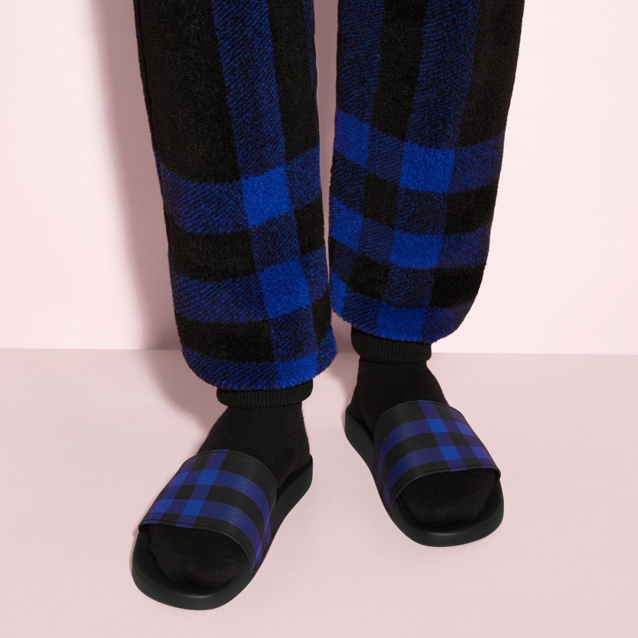 Check Print Slides - 9