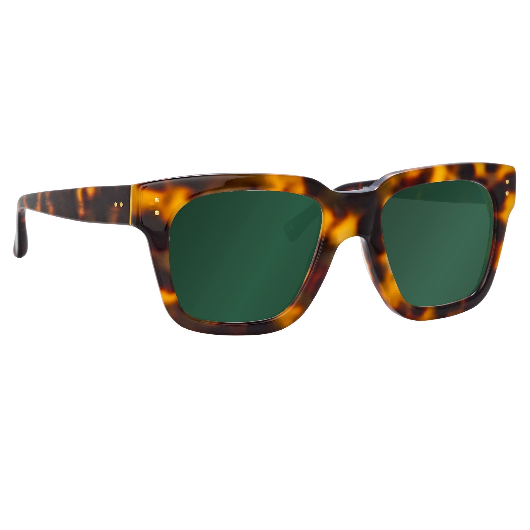 THE MAX | D-FRAME SUNGLASSES IN GREEN / TORTOISESHELL FRAME (C95) - 1