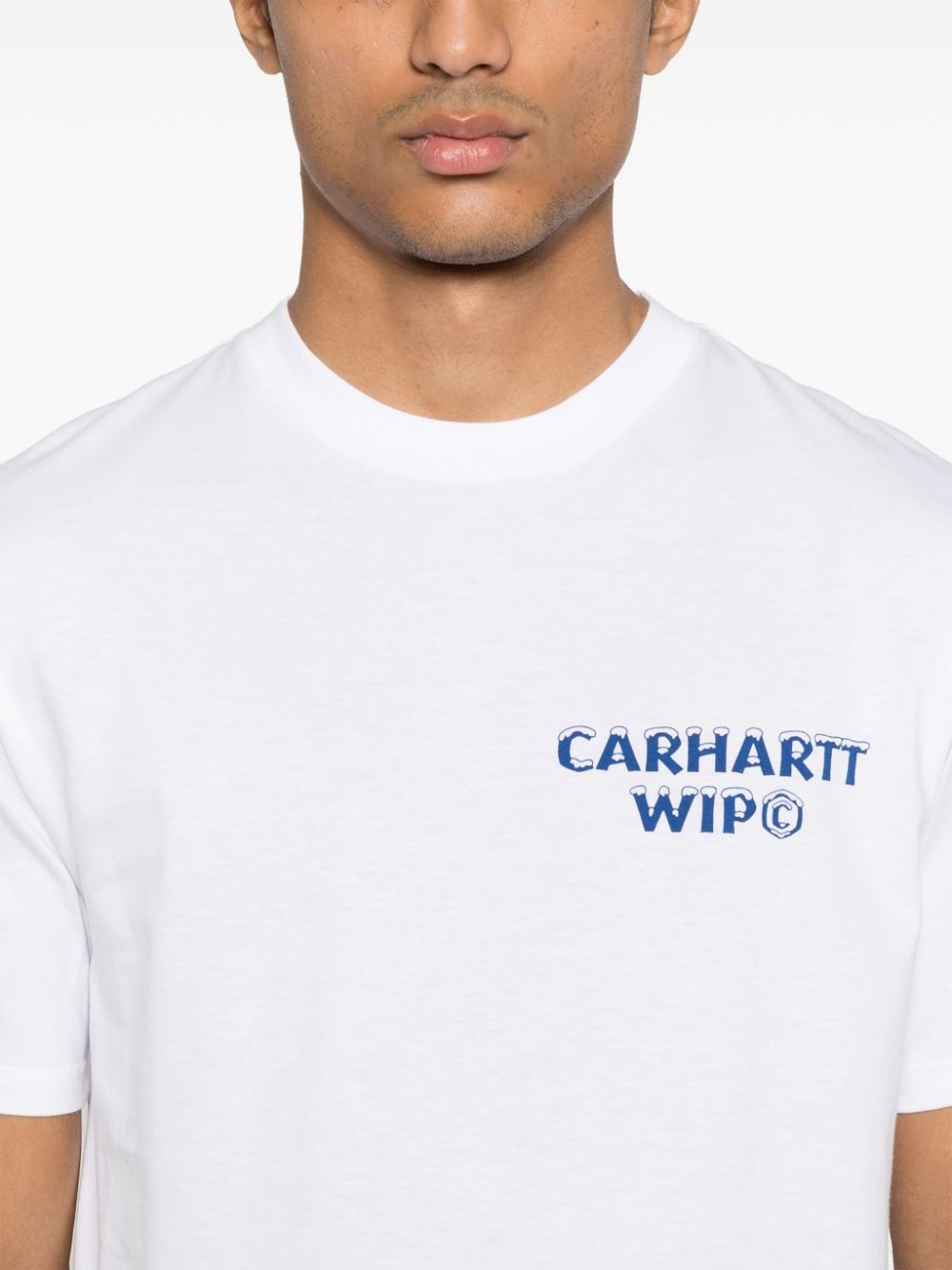 Ice T-shirt - 4