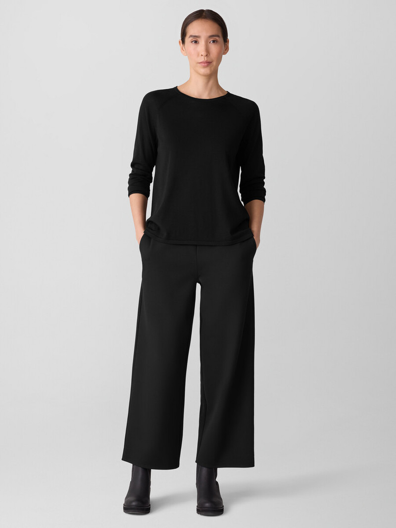 EILEEN FISHER Superfine Merino Crew Neck Top in Regenerative Wool outlook