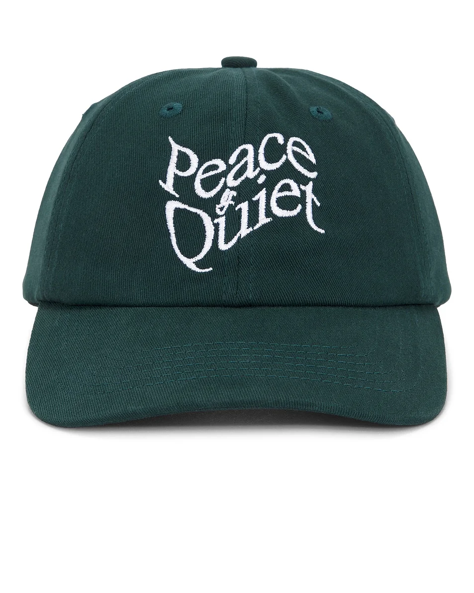 Warped Dad Hat - 1
