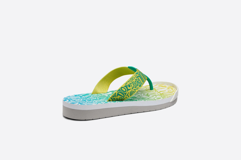 Flip-Flops 3