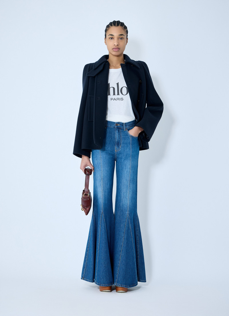 Chloé Double-Breasted Jacket outlook