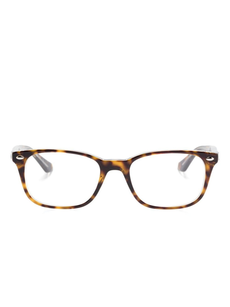 Optics glasses 1