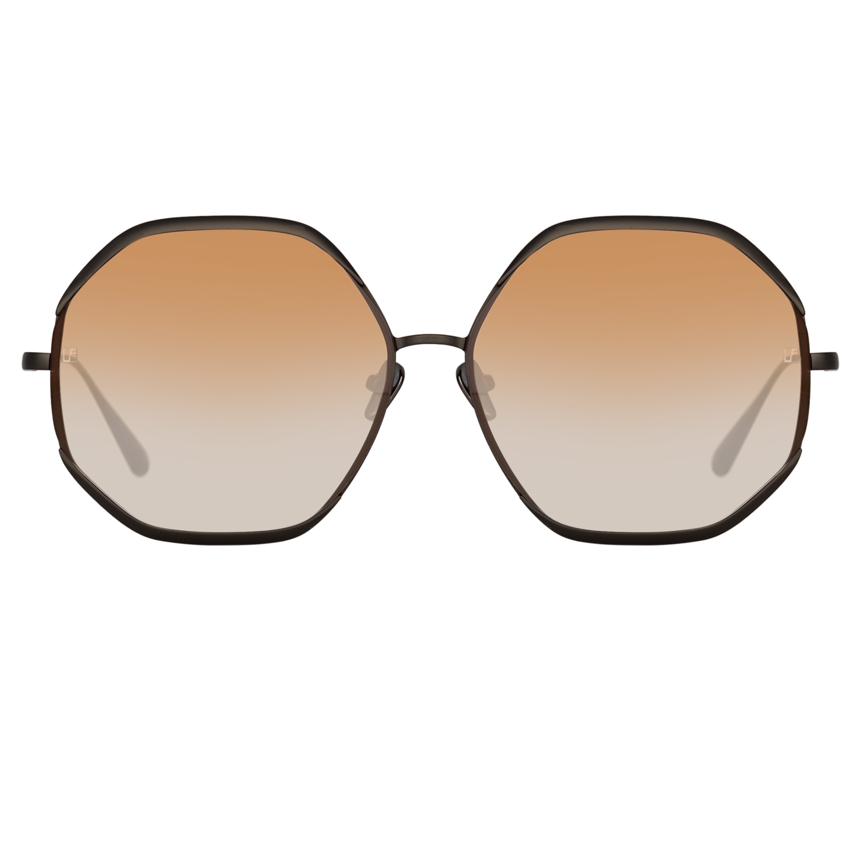 CAMILA HEXAGON SUNGLASSES IN NICKEL AND CAMEL - 1