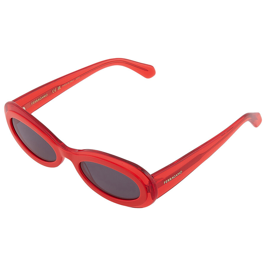 Salvatore Ferragamo Dark Grey Oval Ladies Sunglasses SF2003S 613 54 - 4
