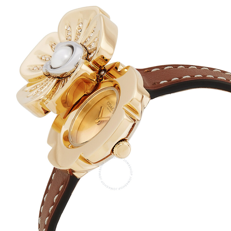 Coach Tea Rose Quartz Gold Dial Ladies Watch 14504149 - 2