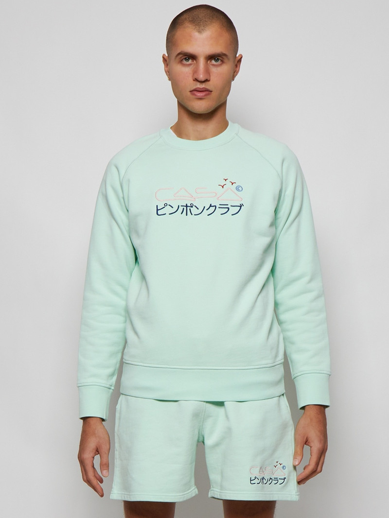 Embroidered Raglan Sweatshirt Green 3