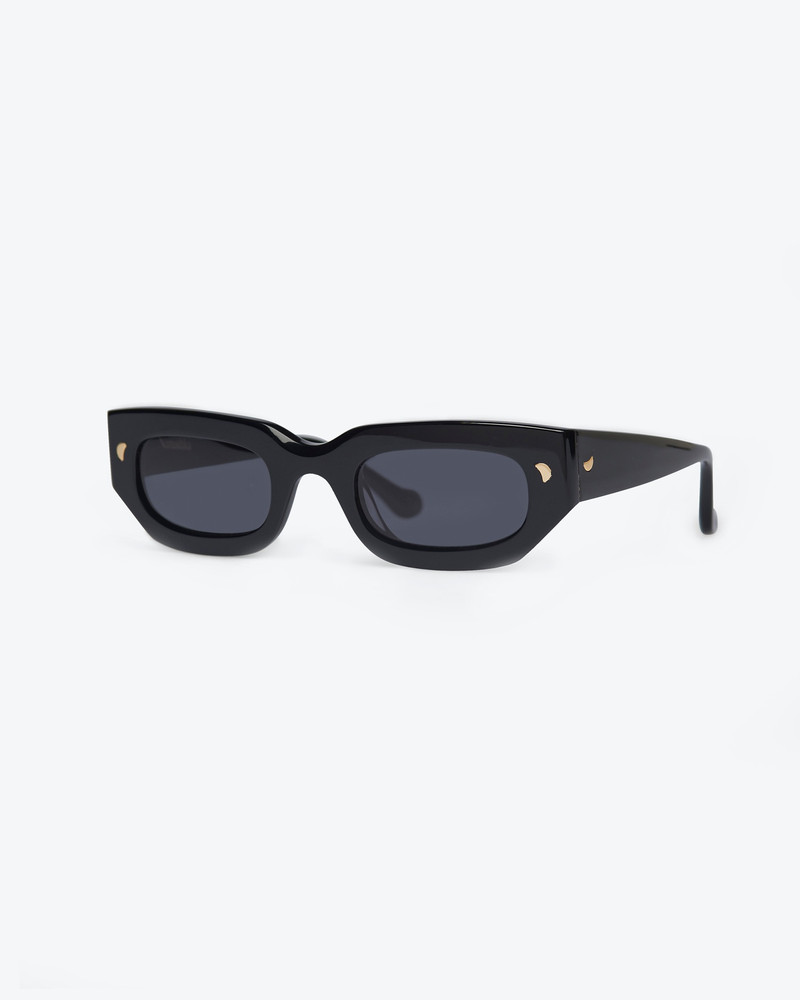 Bio-Plastic D-Frame Sunglasses 1