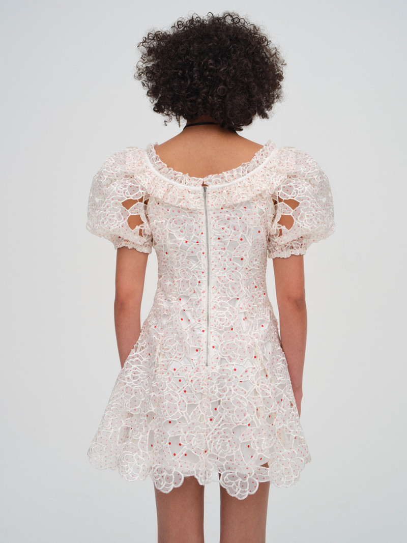 Aphrodite Embroidered Mini Dress 4