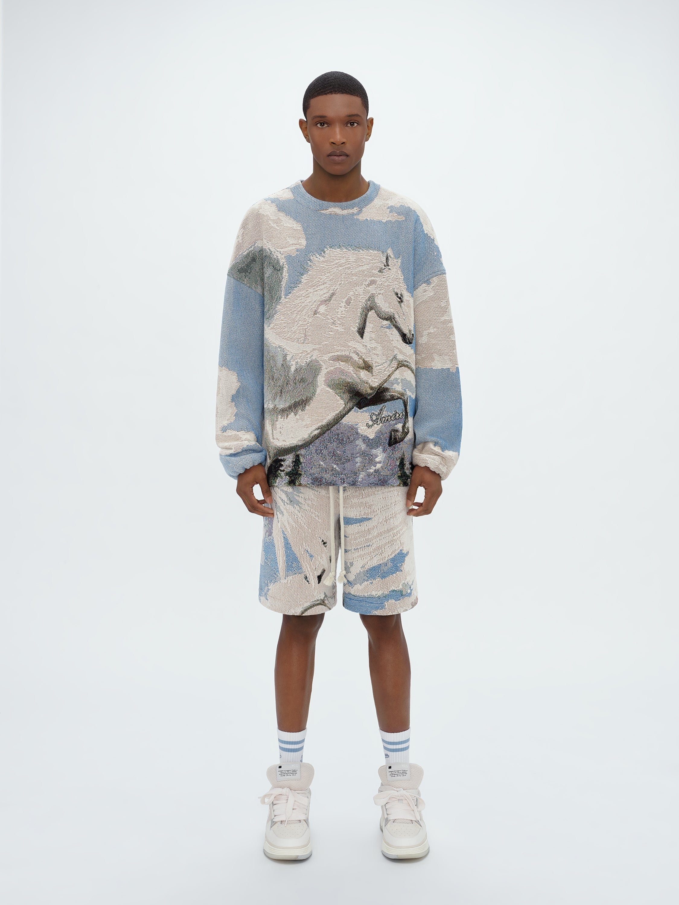 TAPESTRY PEGASUS BAGGY SHORTS - 2