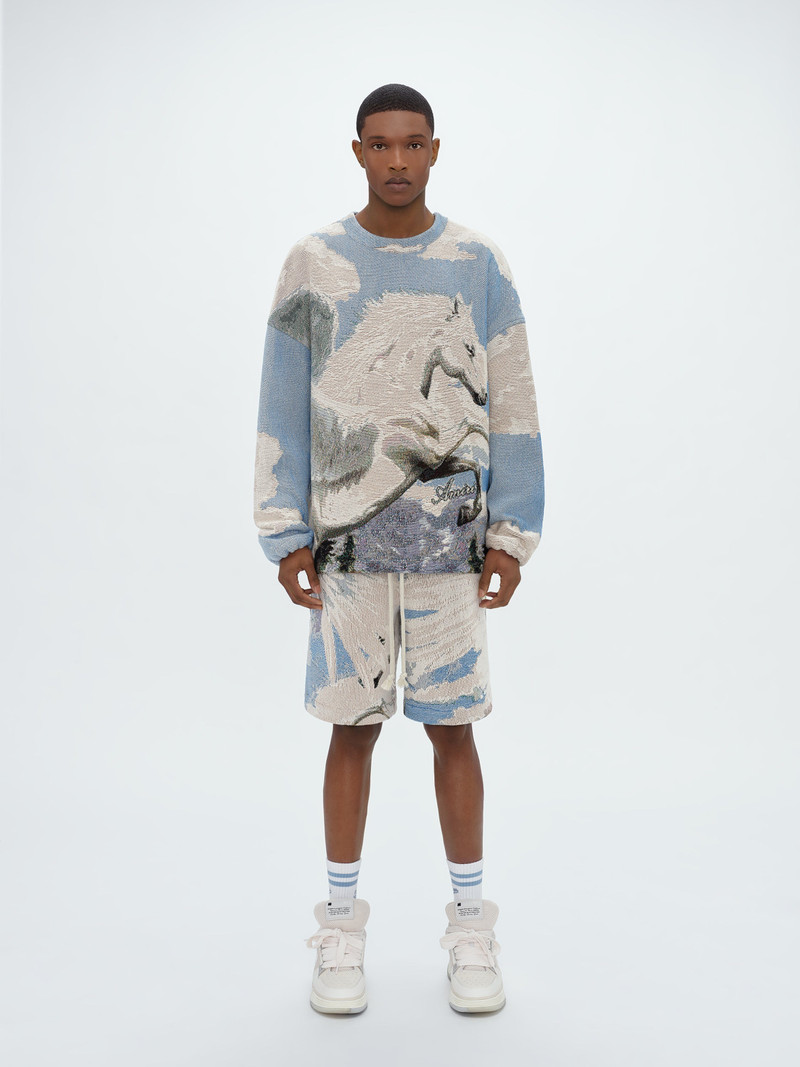 AMIRI TAPESTRY PEGASUS BAGGY SHORTS outlook