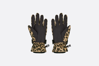 Dior Mizza Ski Gloves outlook