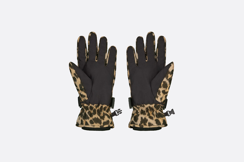 Dior Mizza Ski Gloves outlook