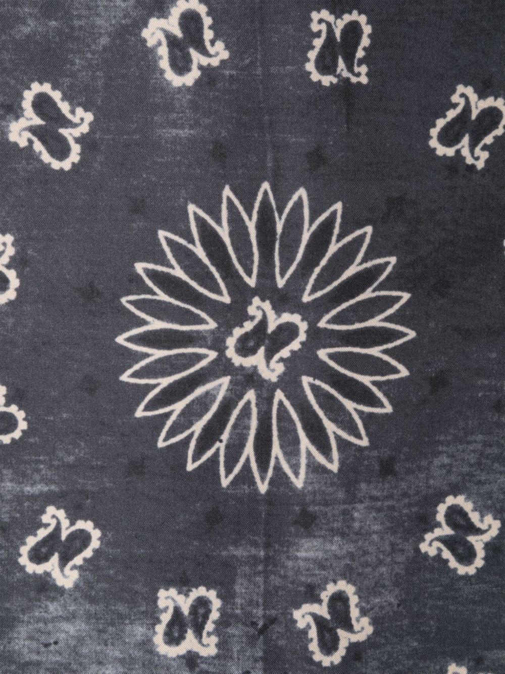 Paisley Pattern Scarf - 3