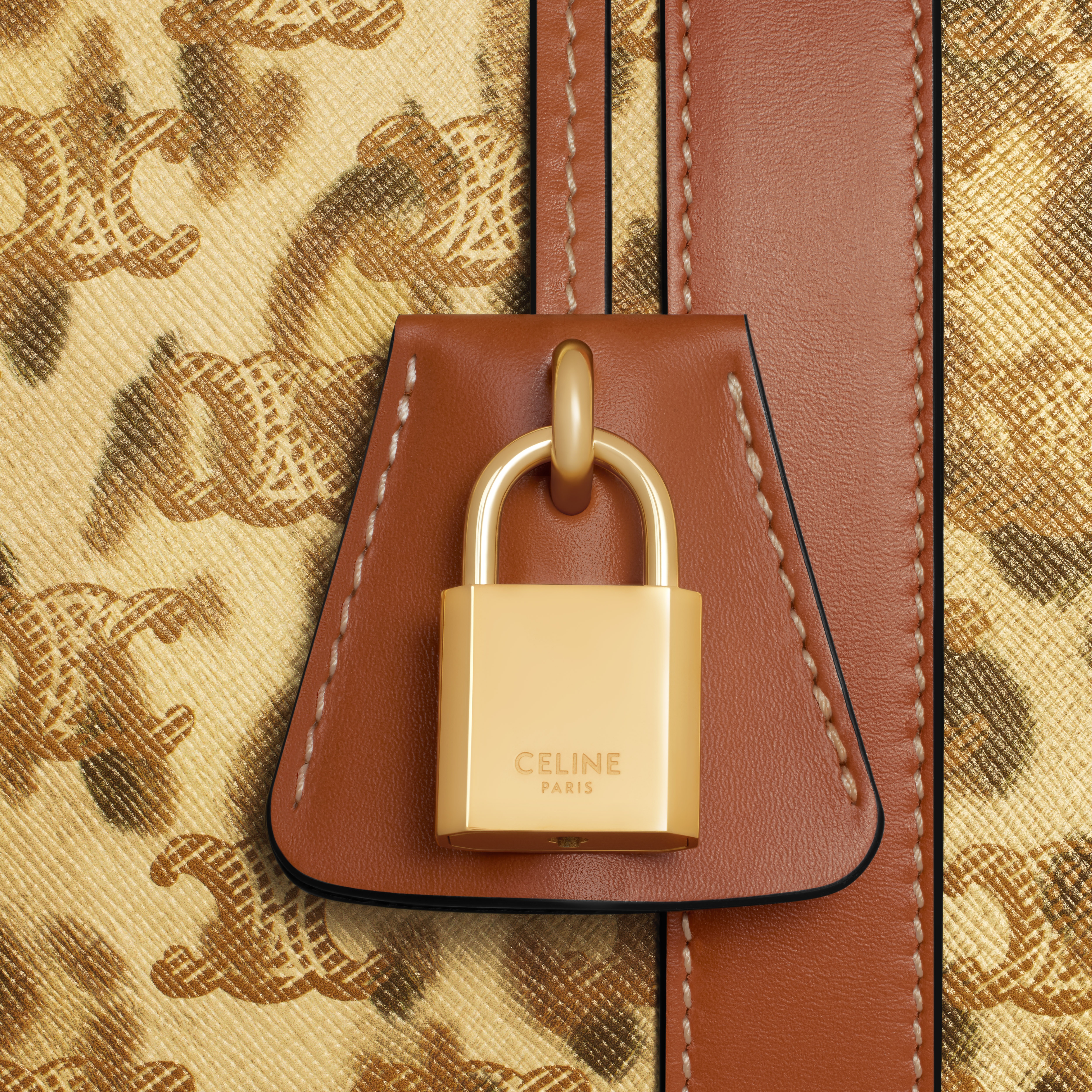 Large Travel Bag in Triomphe Canvas with leopard print - 4