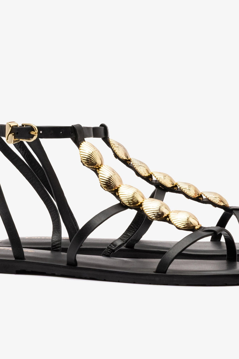 Coquile Flat Sandal Black Leather 5