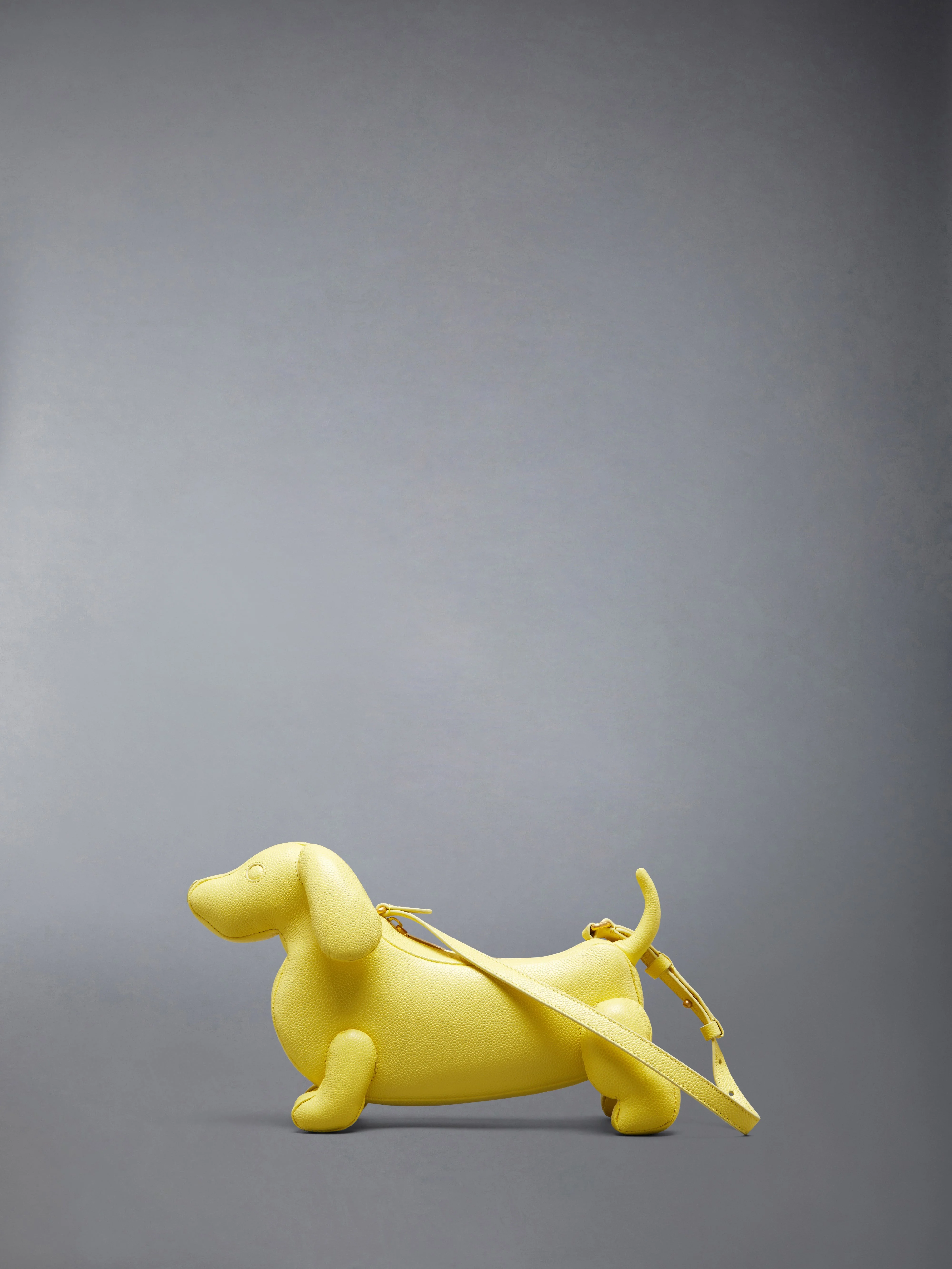 PEBBLE GRAIN HECTOR BAGUETTE BAG - 1