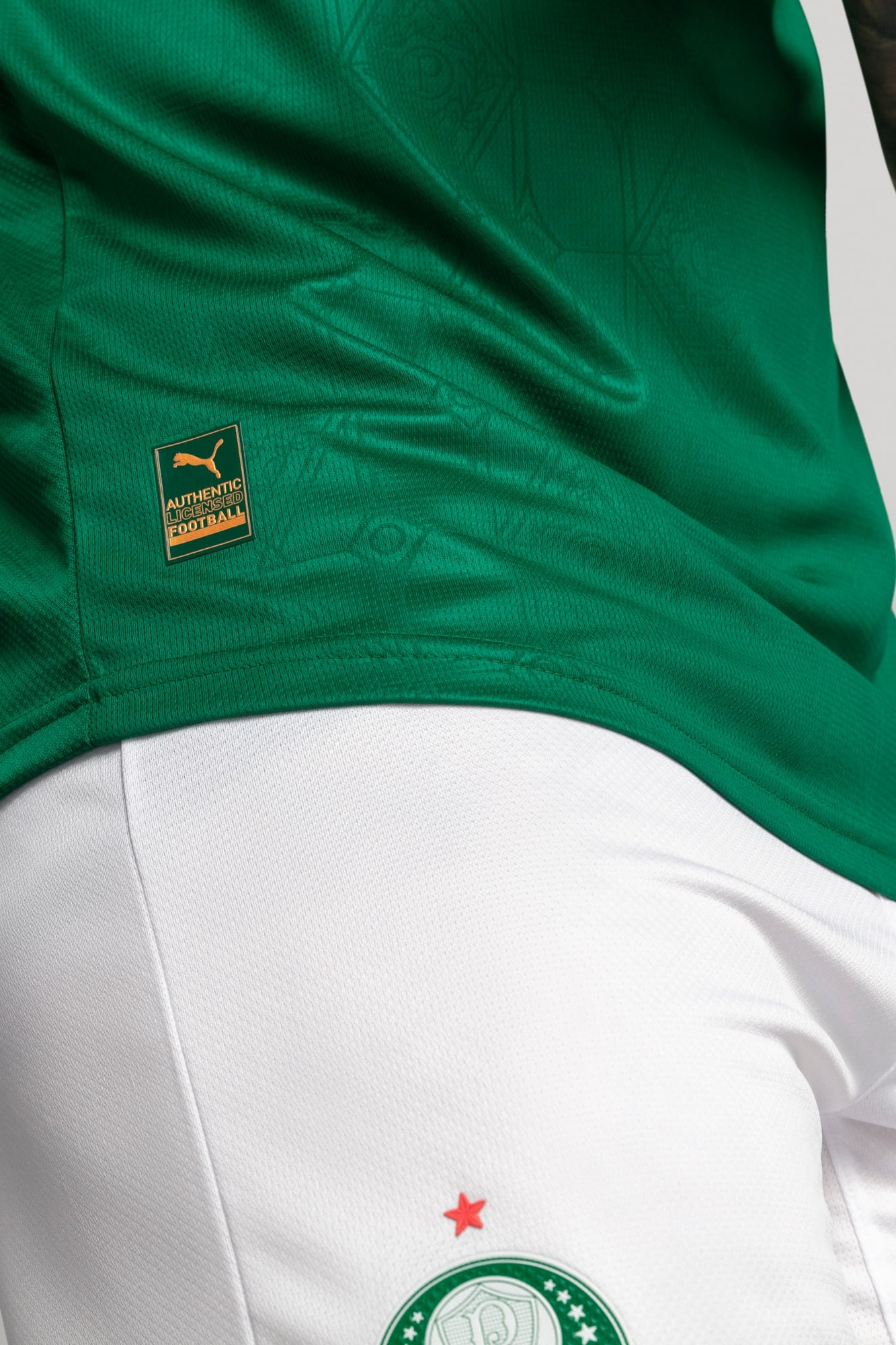 Palmeiras Jogador Home Jsy25 Men - 6
