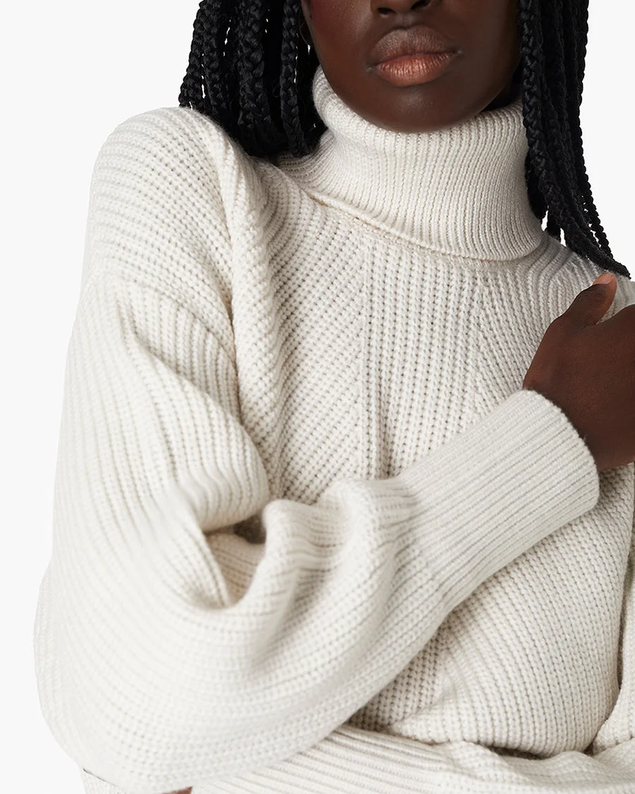 Merino Knit Turtleneck - 1