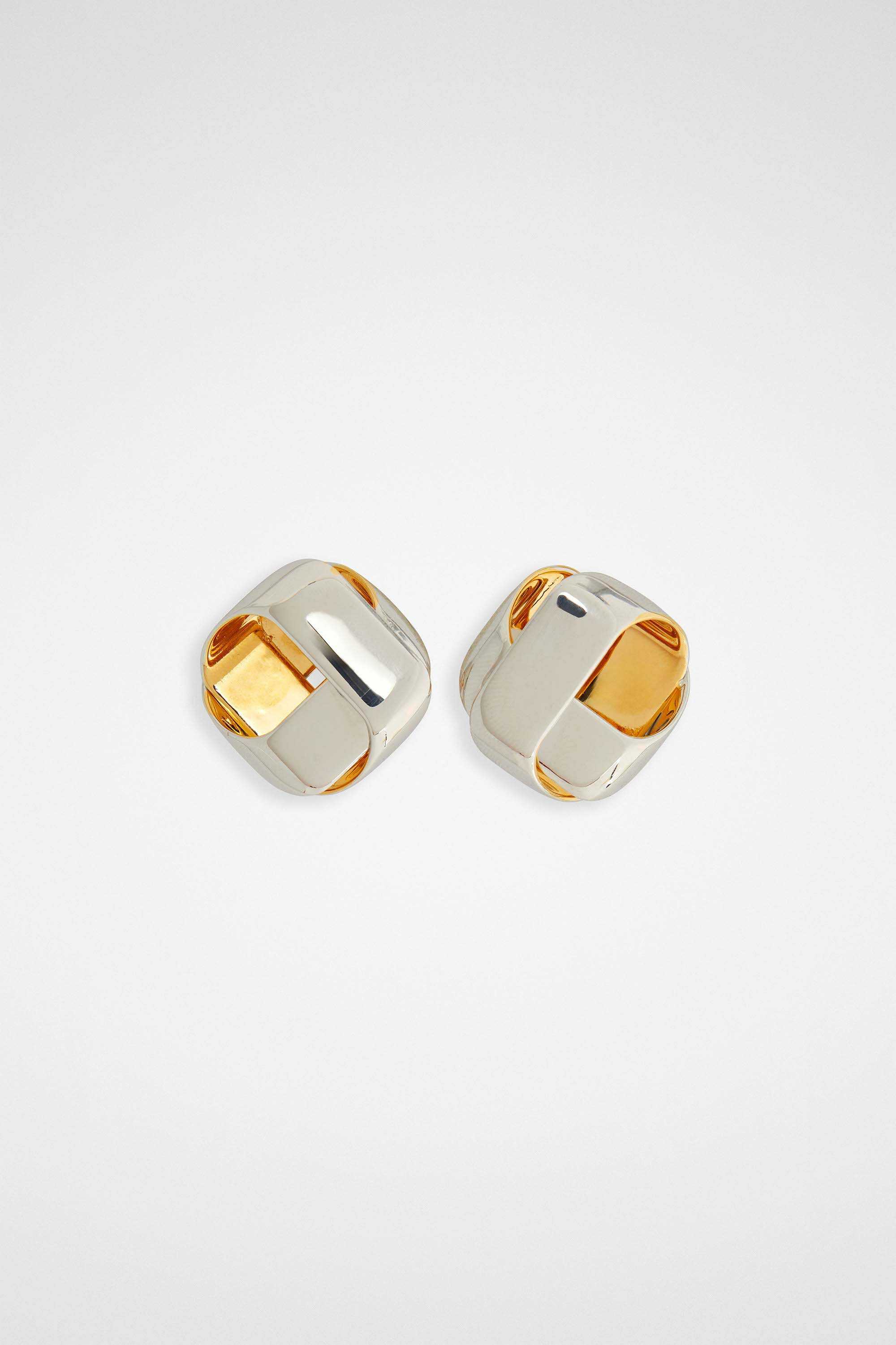 Earrings - 1