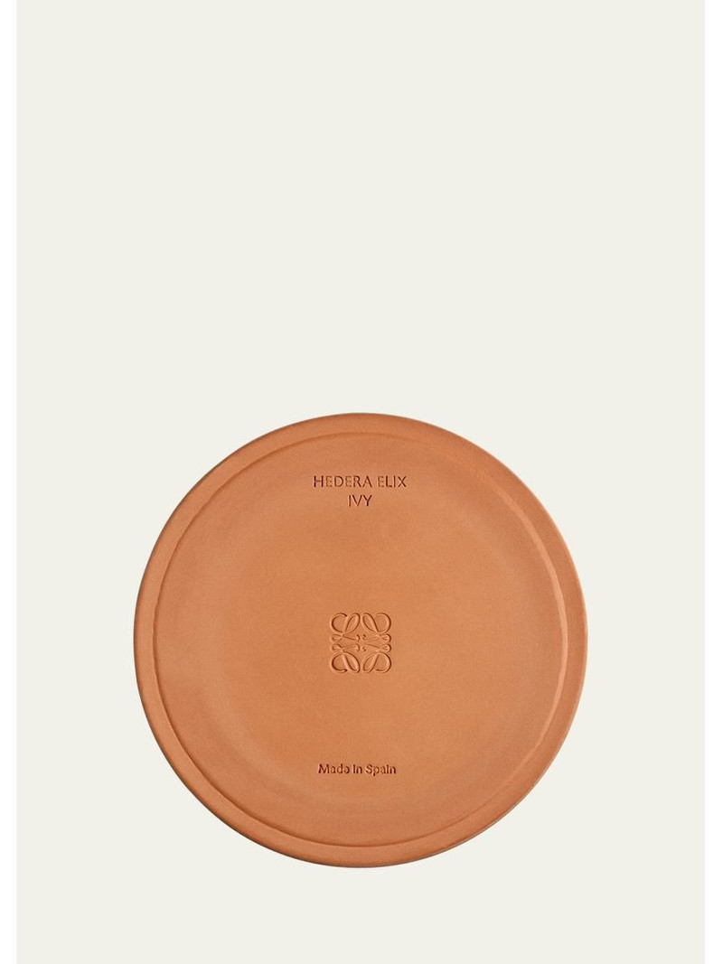 74.8 oz. Large Ivy Candle 3