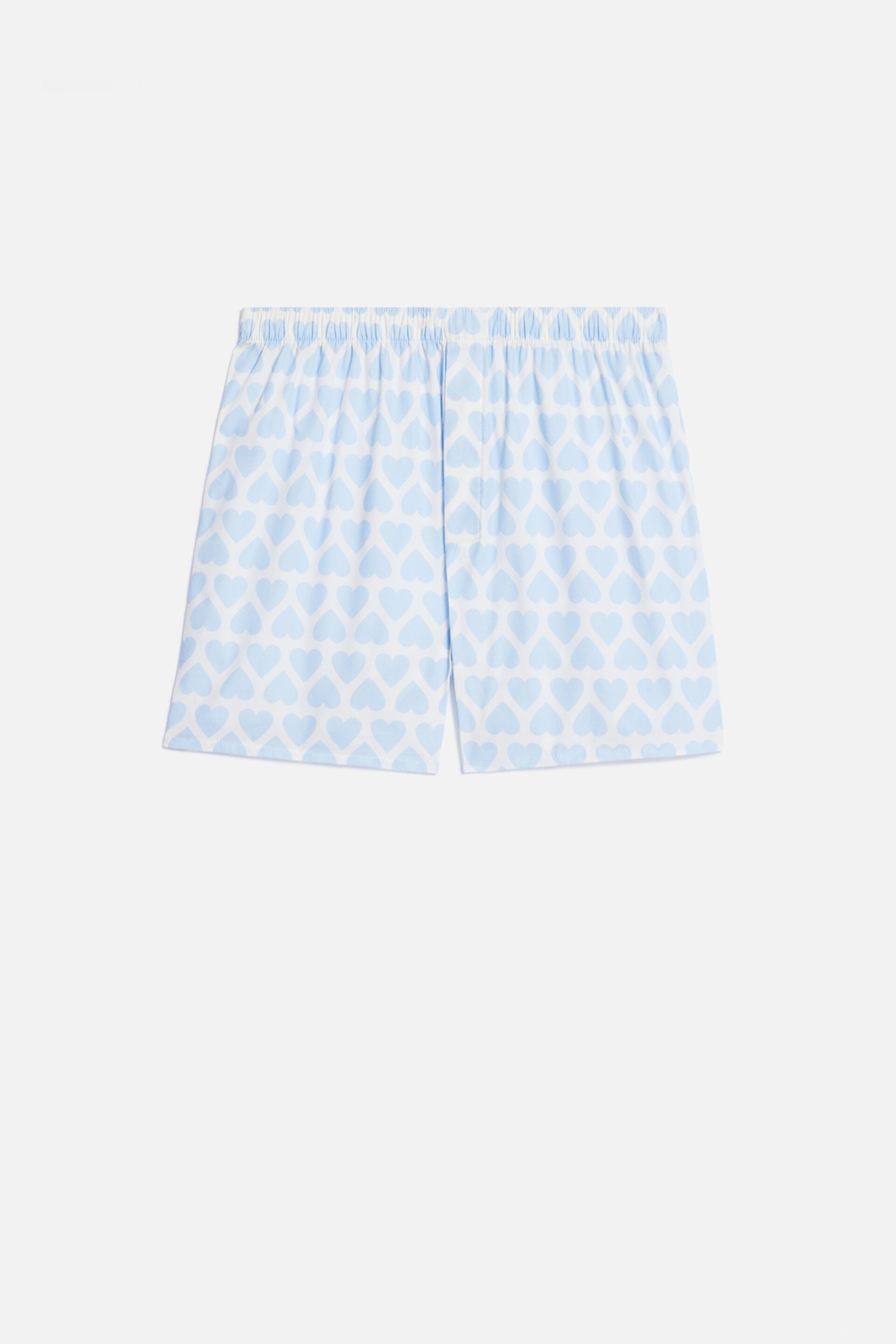 Boxer - 1