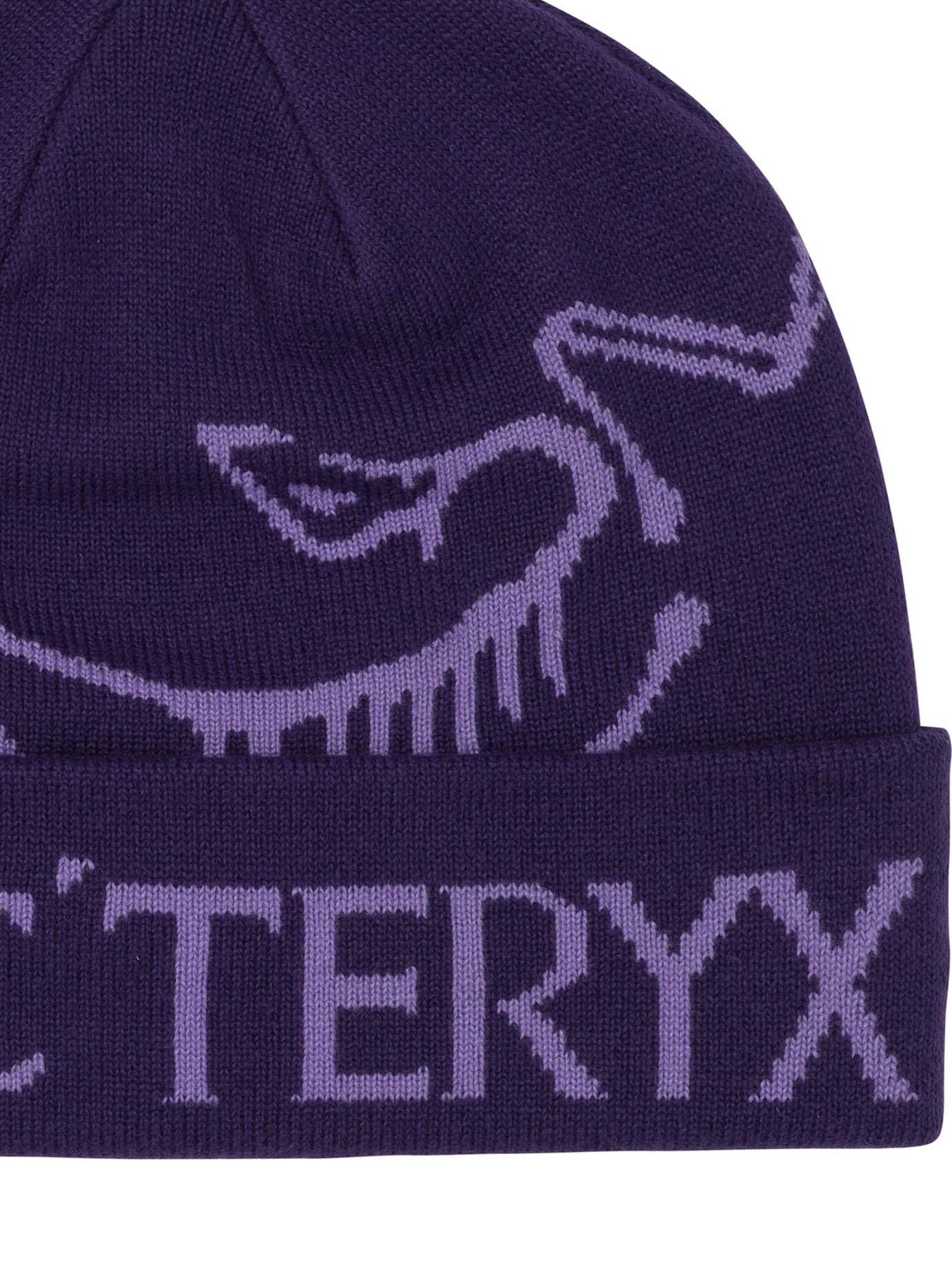 Arc'teryx "bird Word Toque" Beanie - 3