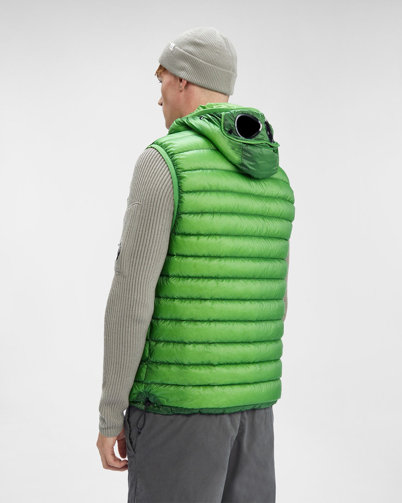 D.D. Shell Goggle Down Vest 3