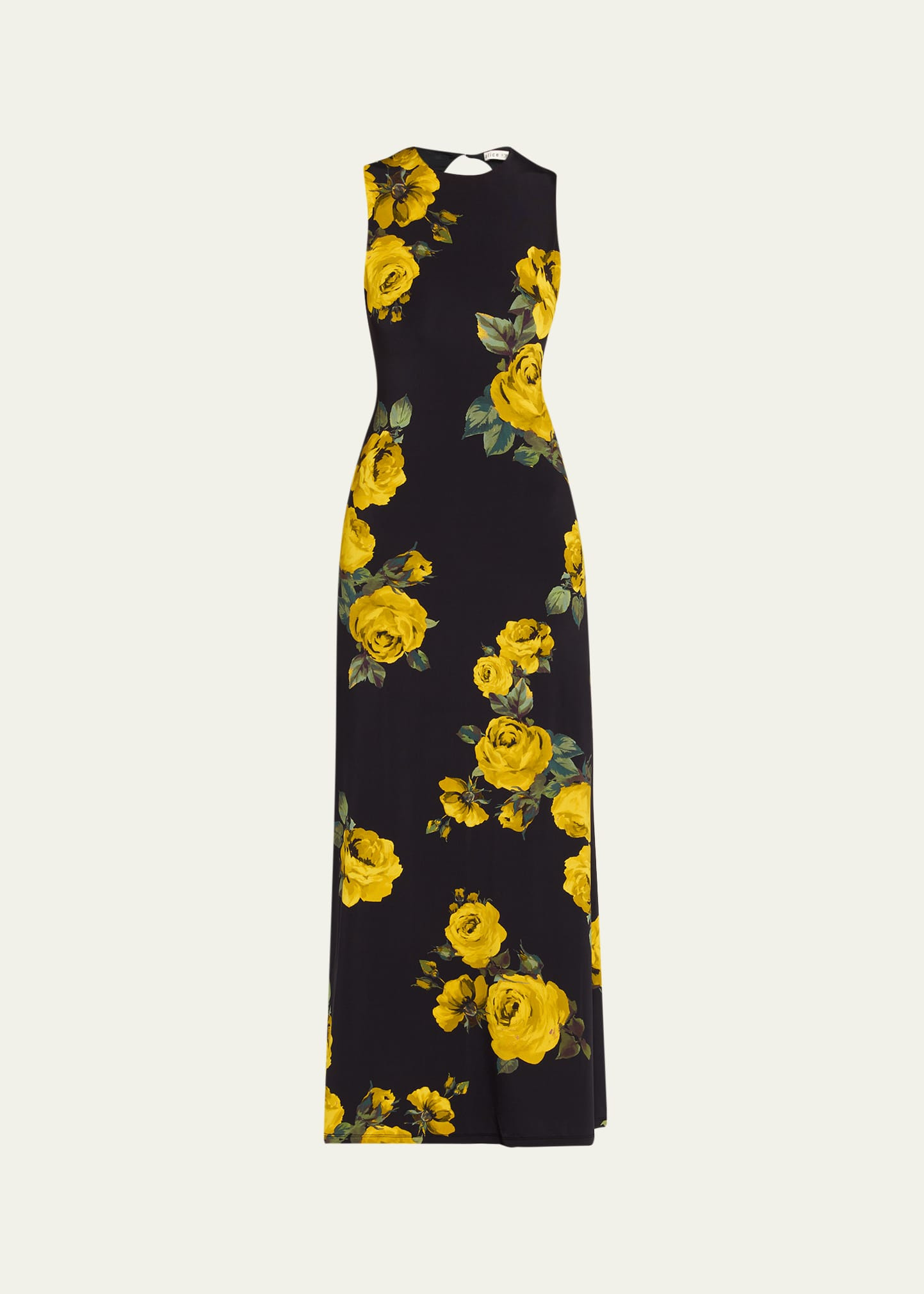 Delora Rosehips Open-Back Sleeveless Maxi Dress - 1