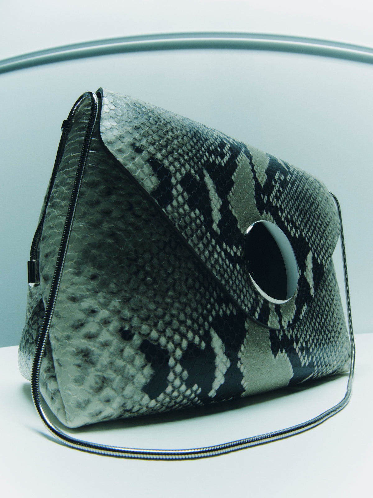 The Bobbi Bag in Natural Python-Embossed Leather - 5