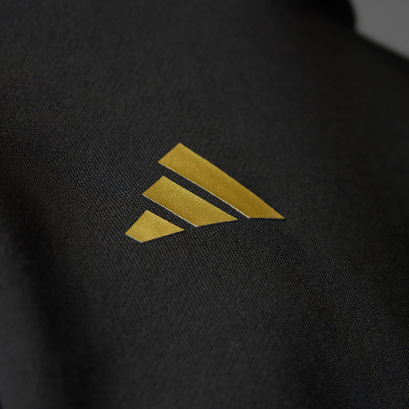 Mexico Gold DNA Hoodie 9